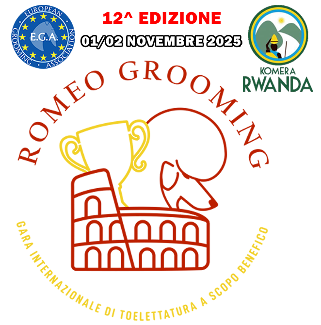 Logo Romeo Grooming