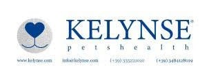 Kelynse