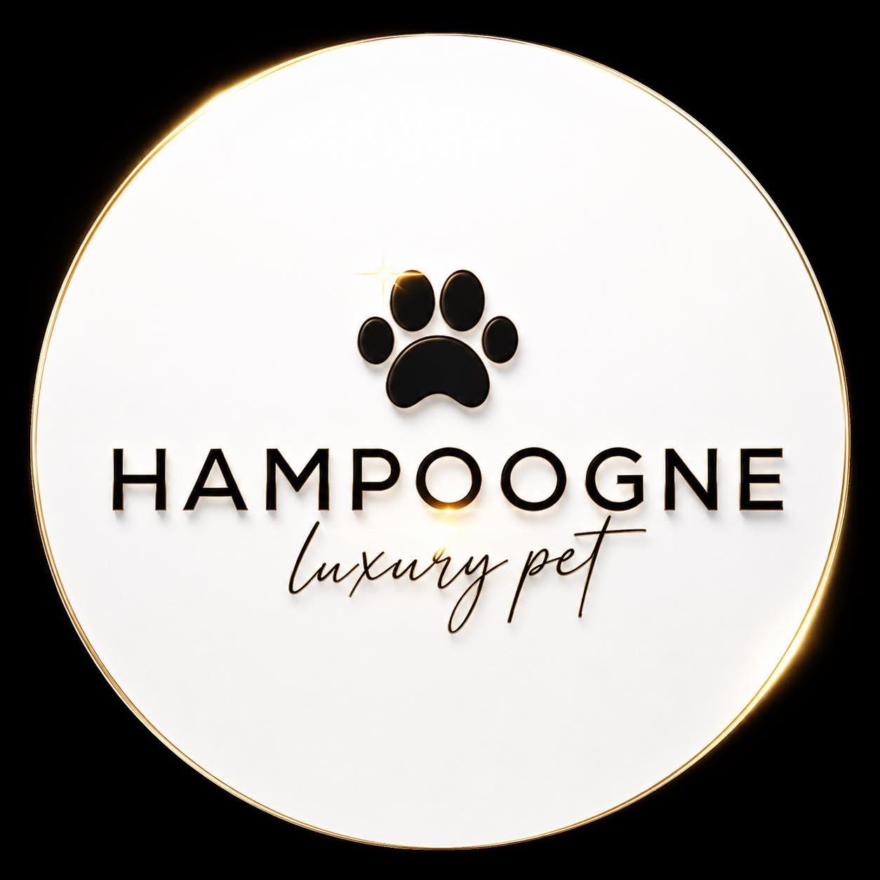 Champoogne